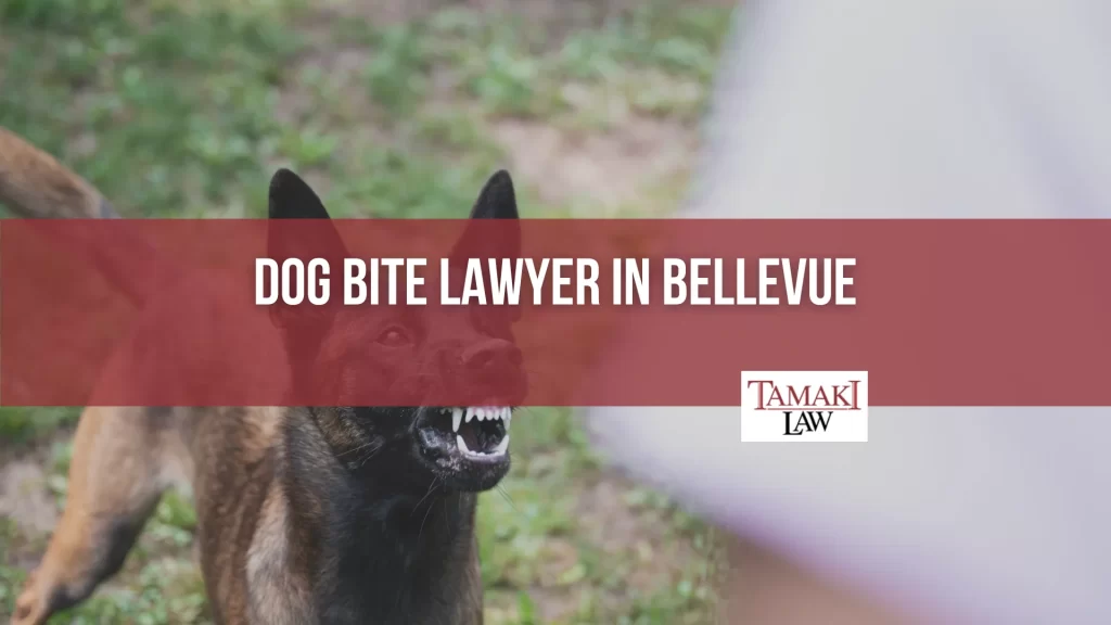 DOG BITE LAWYER IN BELLEVUE